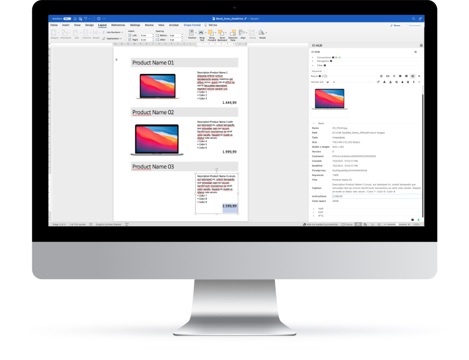 CI HUB Connector for Word