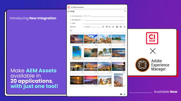 Make AEM Assets available in 20 applications, with just one tool