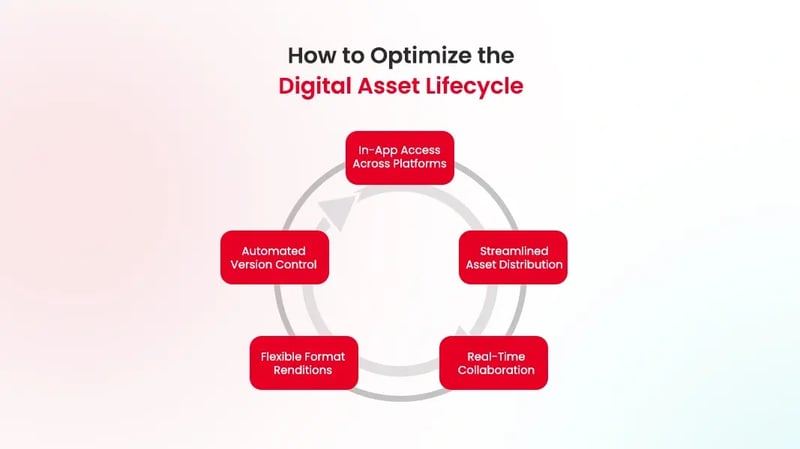 digital-asset-lifecycle