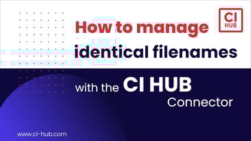 Manage assets with identical file names