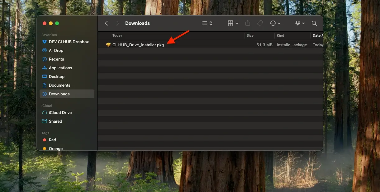 ci-hub-drive-install-step1