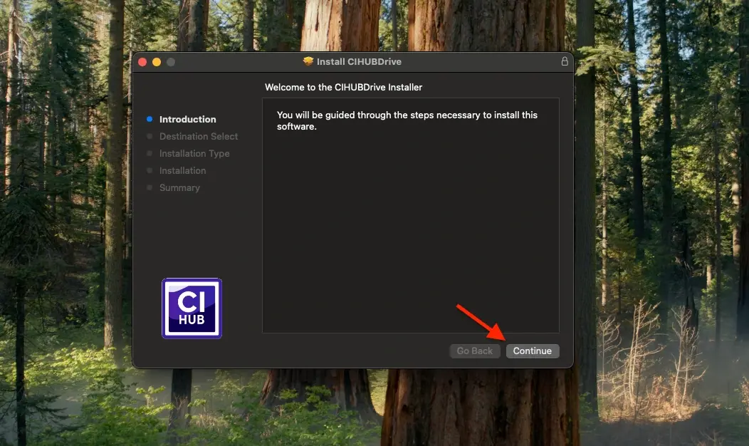 ci-hub-drive-install-step2