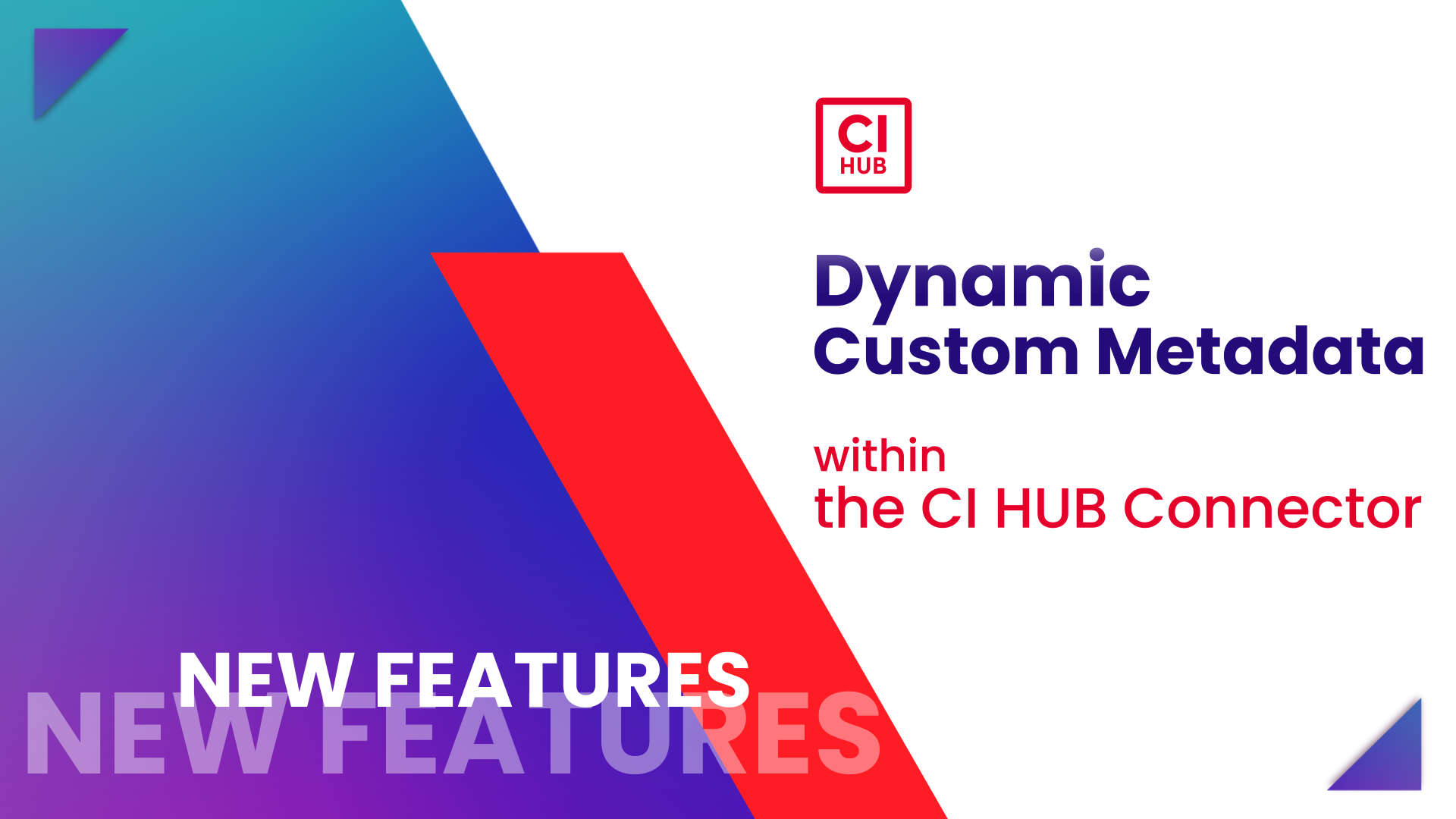 CI HUB Feature Shorty: Dynamic Custom Metadata